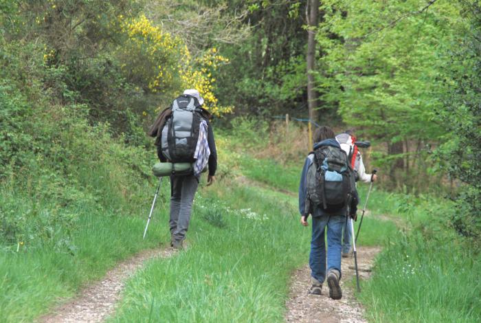 Au pays de Merlin News 37 1_06_10 invisible