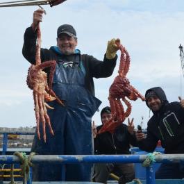  CHILI - ARGENTINE (PATAGONIE)