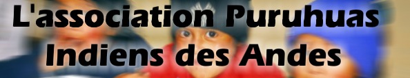 ASSOCIATION PURUHUAS INDIENS DES ANDES ASSOCIATION PURUHUAS INDIENS DES ANDES
